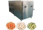 55KW Industrial Freeze Dryer Commercial Vacuum Freeze Dryer 300 KG/Batch