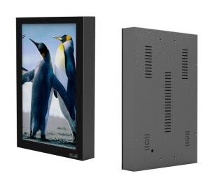 China D20 Digit advertisement all in one media player wholesale