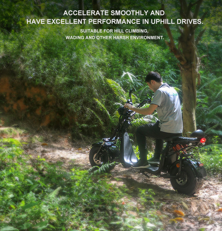 Ecorider 2 Wheel Electric Scooter 1500w EEC City Coco LED Turn Light With Fat Tire
