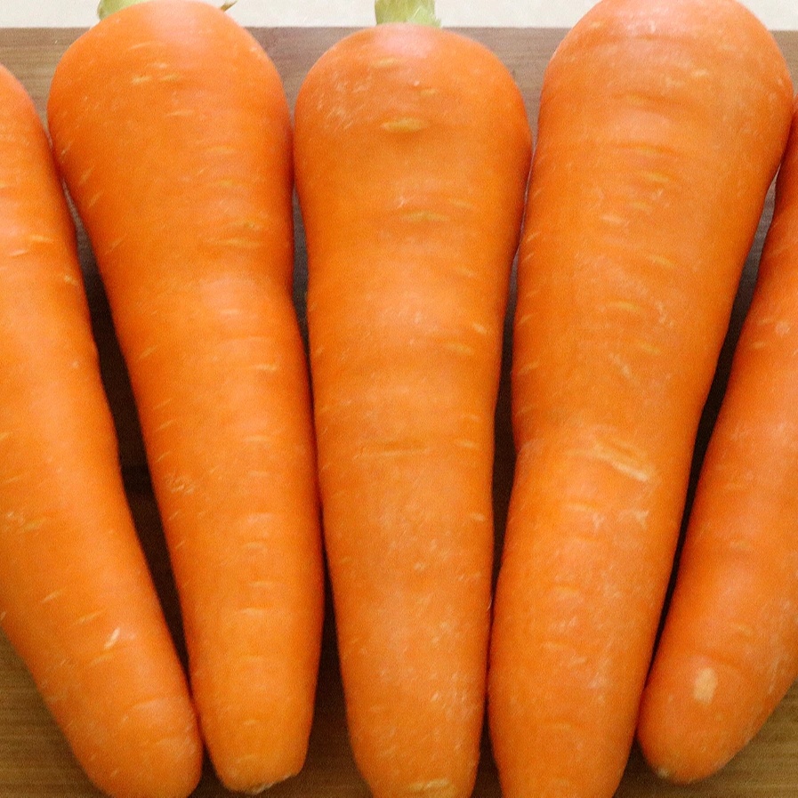 4 KG Natural Carrots Fresh Vegetables Umbelliferous Vegetabless