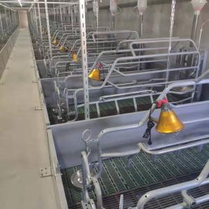 China Pigsty Equipment 2.5mm Thickness Sow Farrowing Crate wholesale