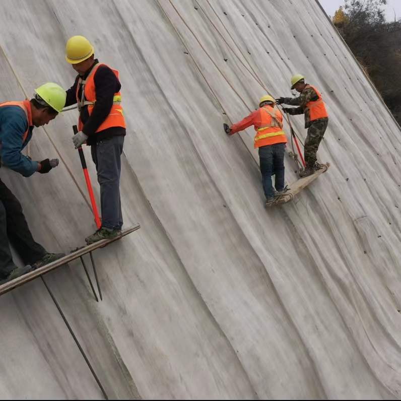 1m-10m Width HDPE Geomembrane for Fish Shrimp Tank 0.3-3mm ASTM Onsite Training Offered