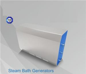 China High Power Commercial Steam Room Equipment Electric Heating Type Waterproof IPX6 wholesale