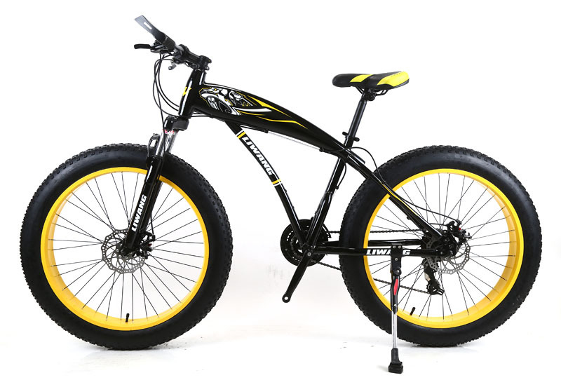 Adult Customized Mountain Cruiser Bicycle Fat Tire Mountain Bikes with 4.0 inch Tire Width and carbon steel Fork Material