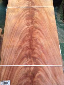 China Mahogany, African Khaya Crotch Wood Veneer wholesale