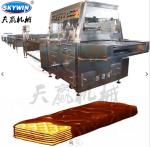 High Efficiency Chocolate Enrobing Machine Wafer Biscuit Cake Coating