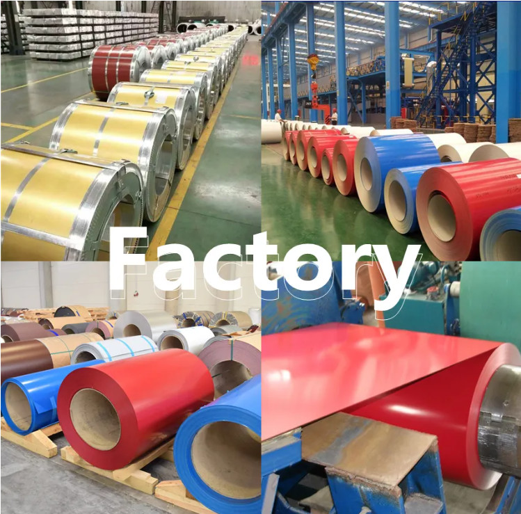 Z40-Z275 Hot Dipped PPGI PPGL Galvanized Coil for Roofing Material Ral 9004 9005