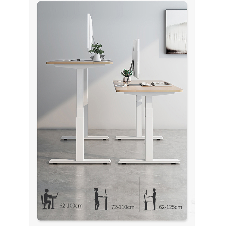 Double Motor Electric Student Writing Desk Height Adjustable Standing Table for Kids