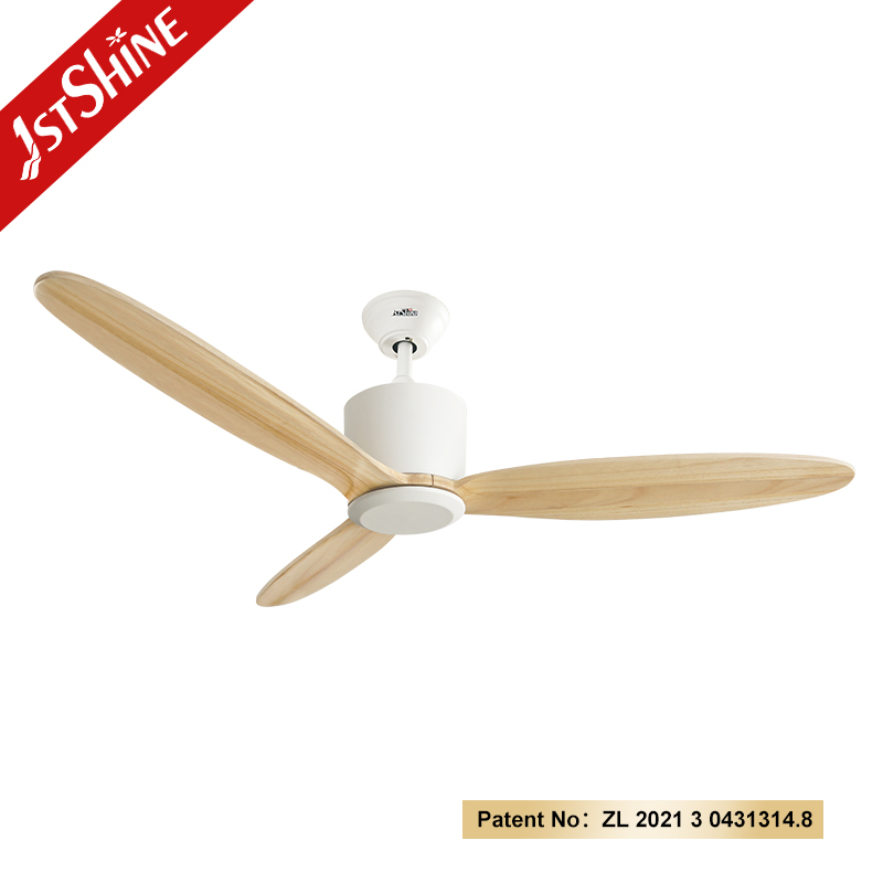 ceiling fan