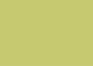 China Apple Green Adhesive PVC Furniture Foils For Advertisement Board wholesale