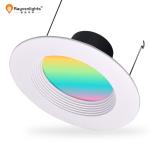 Led Colour Changing Downlights Remote Controlled