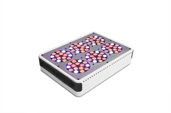 greenhouse application hydroponic grow systems led lights cidly full spectrum