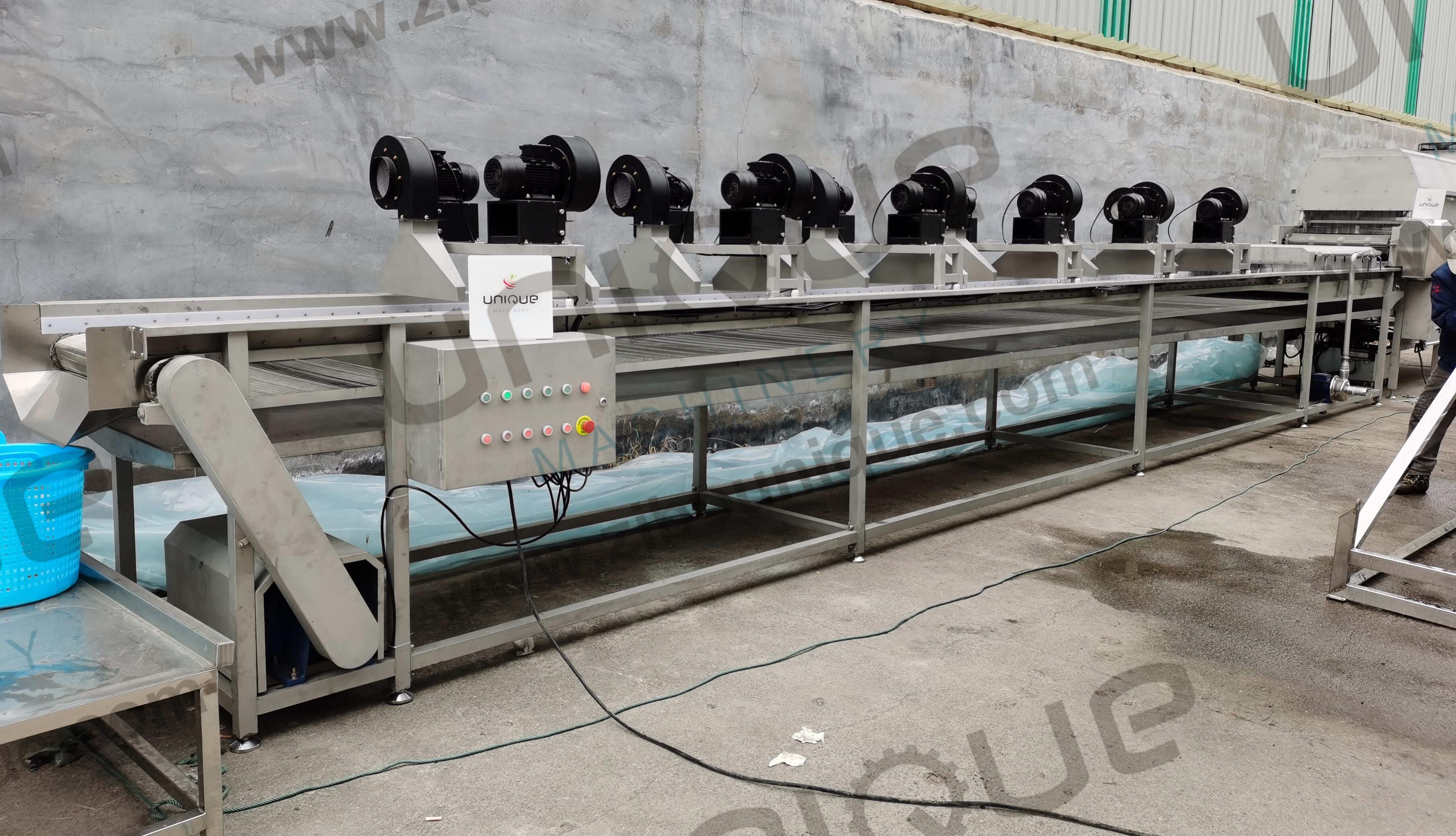 Revolutionize Your Palm Syrup Production with Our Dates Cleaning and Washing Machine