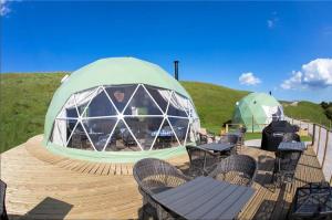 China Luxury Camping Site Geo Dome Tent , Transparent Dome Tent 30 Square Meters House Family Hotels Tent wholesale