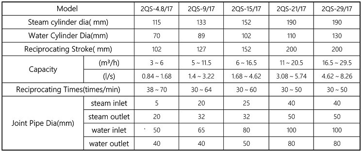 Double Cylinder 2QS Type Centrifugal Water Pump Steam Reciprocating ISO