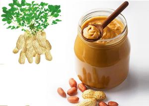 China Pastry Sauce Natural Food Seasoning Chinese Peanut Butter With Private Label wholesale