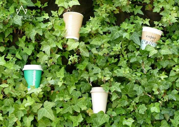 Coffee Compostable Paper Cups Custom Printable Environmentally Friendly