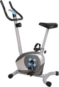 China Magnetic Bike wholesale