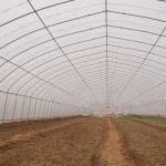 Single-Span Agricultural Mini Greenhouse for Vegetables Easily Assembled