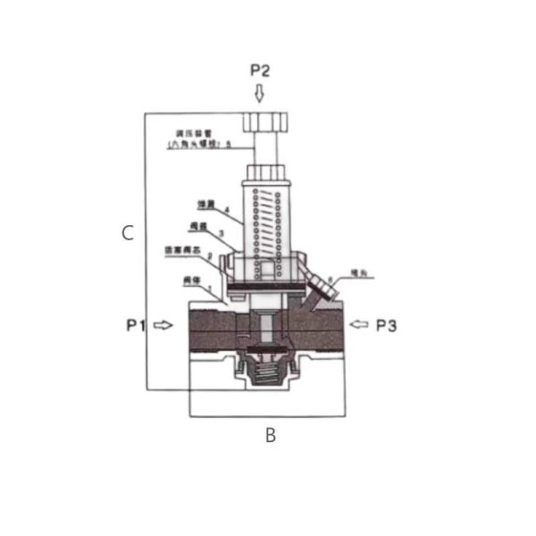 Piston Type Pressure Relief Valve with Internal Thread CF8