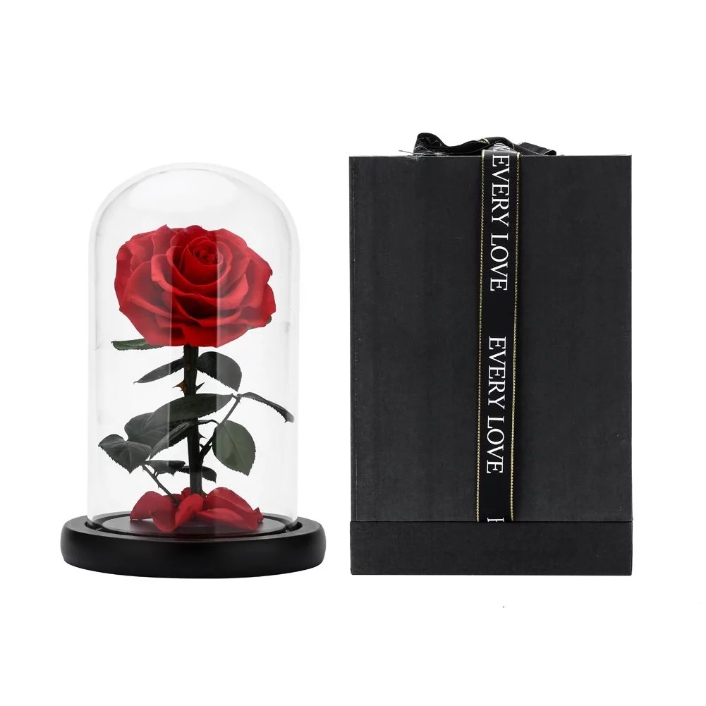 Wholesale Price beauty and the beast roses preserved roses in glass dome