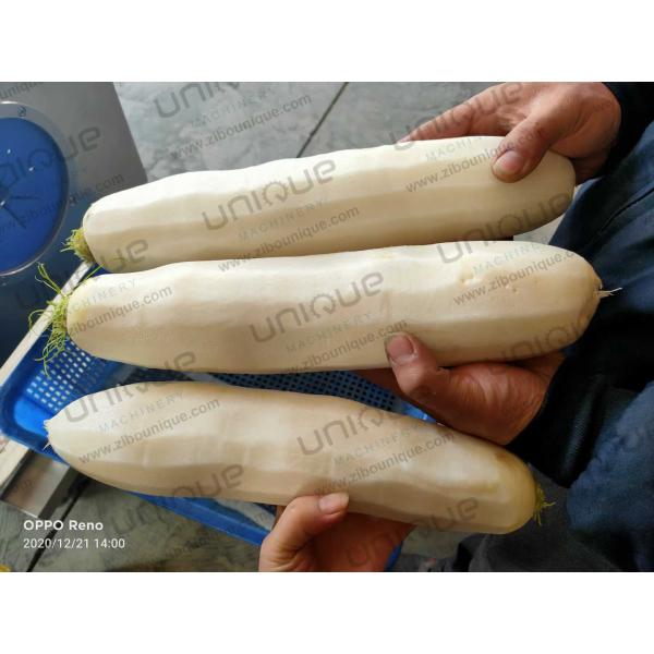 Powerful Stainless Steel 304 Mooli Peeler Machine for Kimchi Daikon Processing Needs