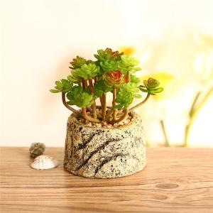 China Mini Succulent Artificial Potted Plants Strange Shape Green Platsic Material wholesale