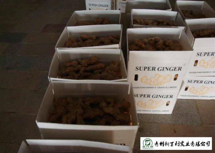 150 - 300 G / Per Fresh Yellow Ginger Sell To Supermarket And Wholesaler