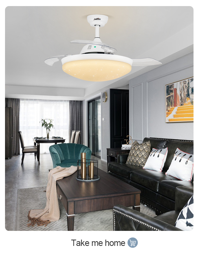 Invisible ceiling fan