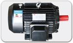 210x80mm Woodworking Milling Machine