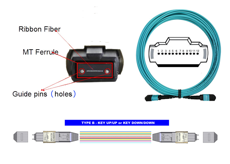 SM APC MTP MPO To FC UPC 12 Cores Patch Cord Breakout 0.2dB G657A2