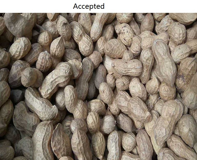 3.6kw High Luminance Peanut Color Sorter