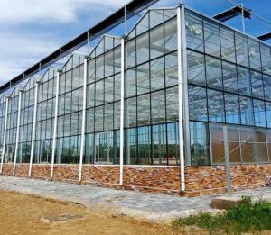 China 4mm patterned Glass for Greenhouse with Competitive Price wholesale