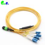 8F 40G MPO Trunk Cable Hareness Fiber Optic Cable Singlemode