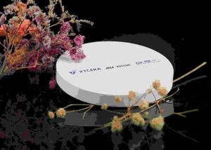 China 50% Transmission 750MPa Porcelain Dental Zirconia Blank wholesale