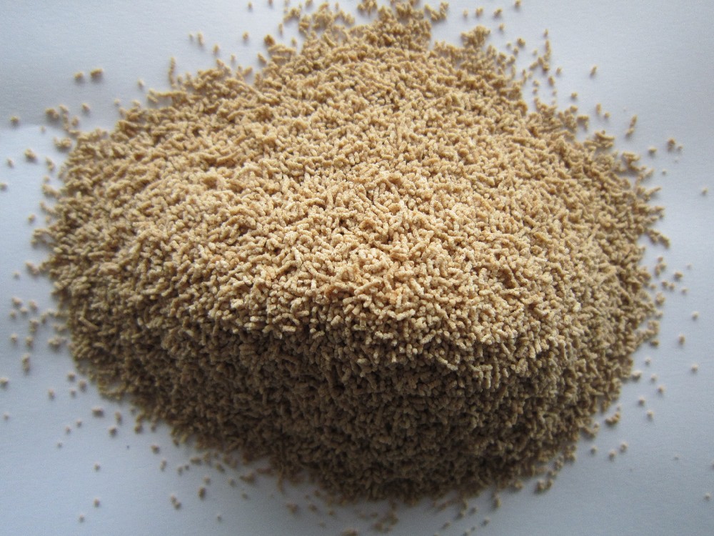 1 kg HOT Dried Soup 500g*2/1Kg Hondashi Seasoning in Philippines