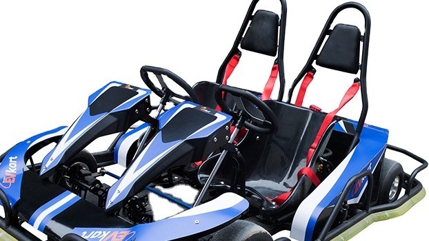 65km/H Family Double Seater Go Kart