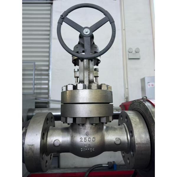 6 Inch 5A-2500 Class Dual Stainless Steel Gate Valve with Middle Bolt Design for High Pressure Applications