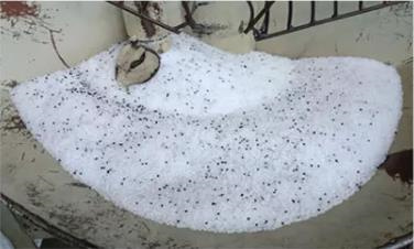 High Density 0.940g/cm3 HDPE Geomembrane for Fish Pond and Landfill Waterproofing