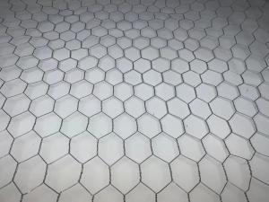 China 30mm Plaster Welded Galvanised Steel Chicken Wire 0.7mm Diameter wholesale