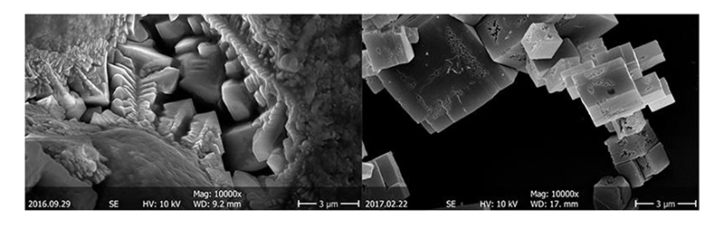 Controled Mouse Scanning Electron Microscope Sem 8x~800000x Magnification
