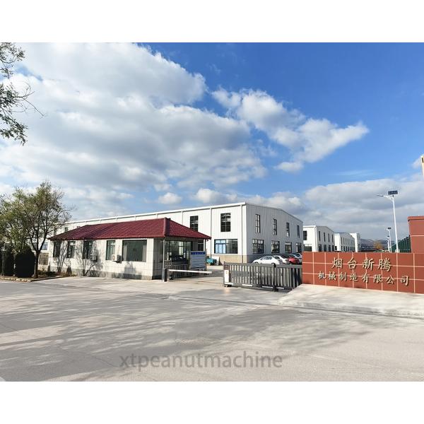 Swing Coated Peanuts Nut Oven 304 Stainless Steel Flat Tray Design for Flavored Powdered Peanuts