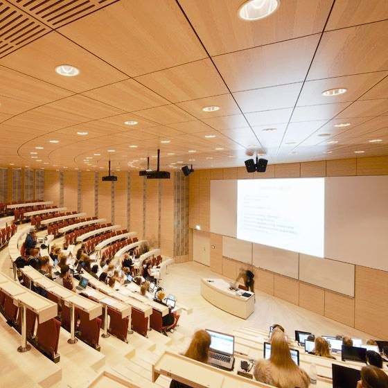 Oak Veneer Laminated MDF Wall Panels , Laminate Wall Planks 9mm-18mm Thick