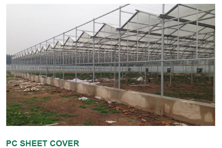High Yield Hydroponic Greenhouse for Tomatoes Vegetables and Flowers in Any Season