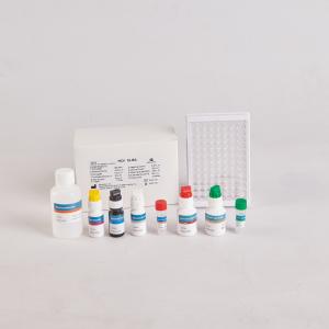 China RUO Anti HCV Elisa Kit wholesale