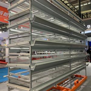 China 4m Poultry Chicken Cage wholesale