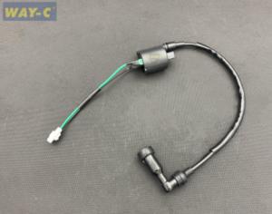 China Motorcycle Moto Alloy Ignition Coil Pack N3060370 For TVS HLX125 wholesale