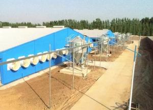 China OEM / ODM Steel Structure Pig House Fireproof Prefab Farm Buildings wholesale