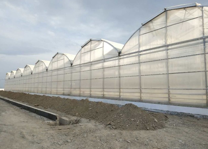 10x12 6x4 4x2 Pc Sheet Large Polycarbonate Greenhouse Growing Tomaotes Cucumber Growing System