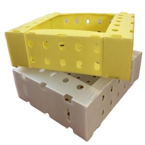 China Fruit Corrugated Plastic Packaging Boxes Environmental Protection wholesale